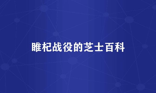 睢杞战役的芝士百科