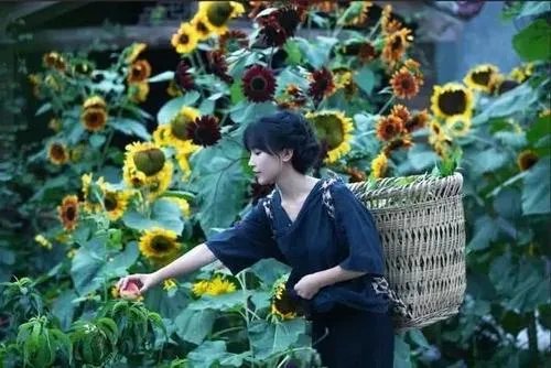 李子柒刷新吉尼斯世界纪录,为何大家这么喜欢李子柒?