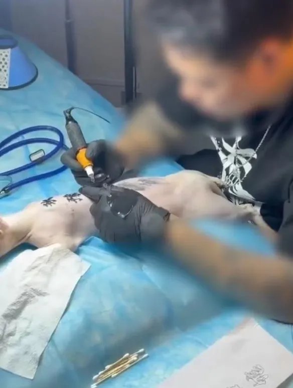 男子给猫纹身遭到网暴 网友:故意博眼球还涉嫌虐猫