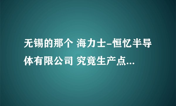 无锡的那个 海力士-恒忆半导体有限公司 究竟生产点什么东西?为何老是语焉不详？