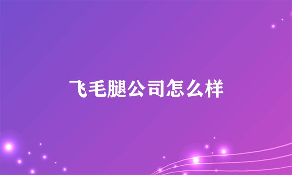 飞毛腿公司怎么样