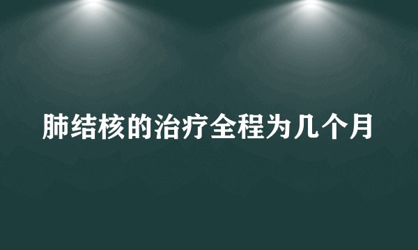 肺结核的治疗全程为几个月