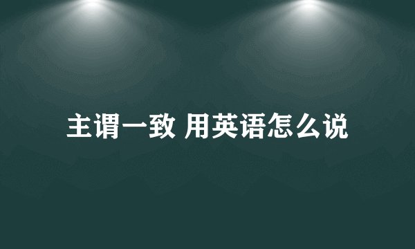 主谓一致 用英语怎么说