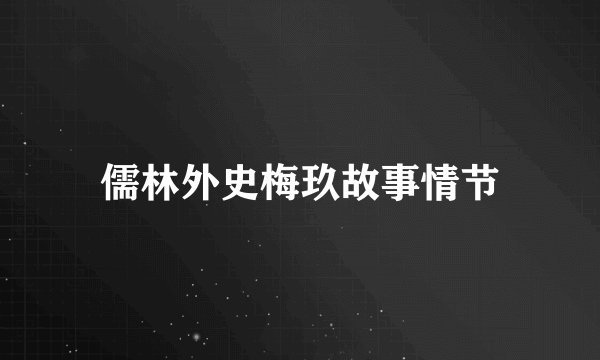 儒林外史梅玖故事情节