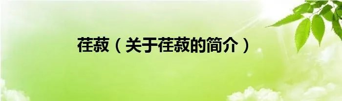 荏菽（关于荏菽的简介）