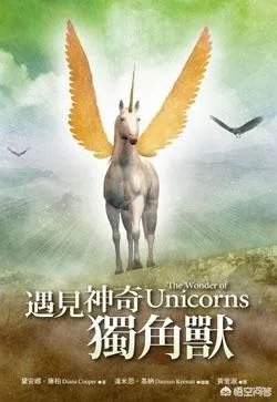 独角兽概念