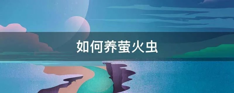 如何养萤火虫