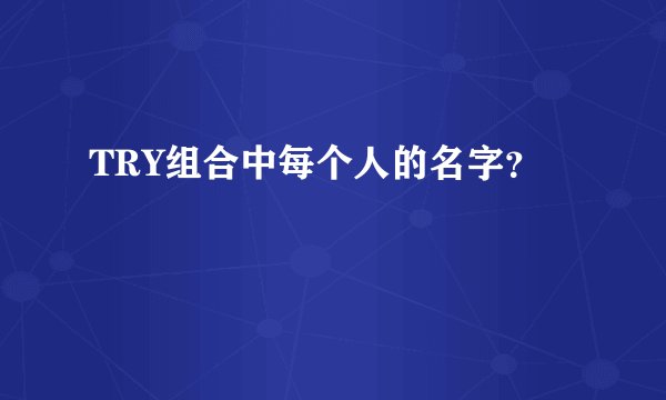 TRY组合中每个人的名字？