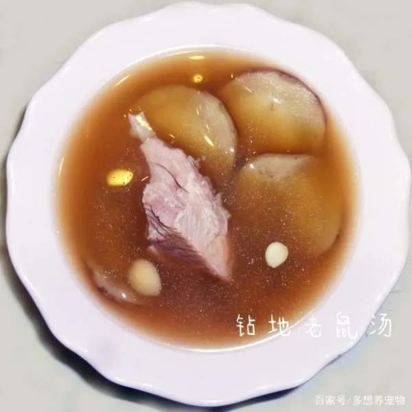 农村名叫“钻地老鼠”的植物有什么功效和作用?
