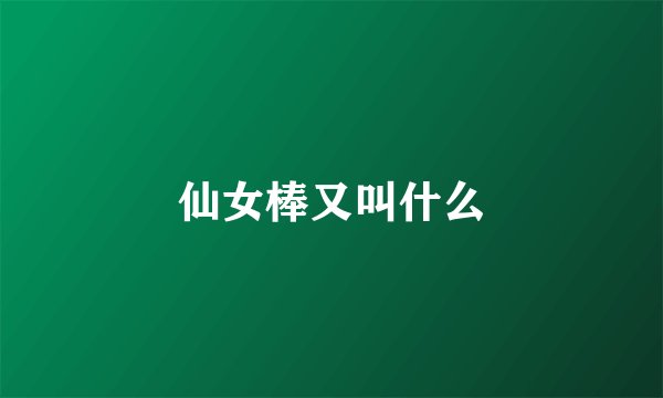仙女棒又叫什么