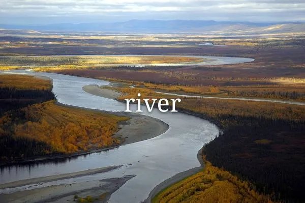 river怎么读