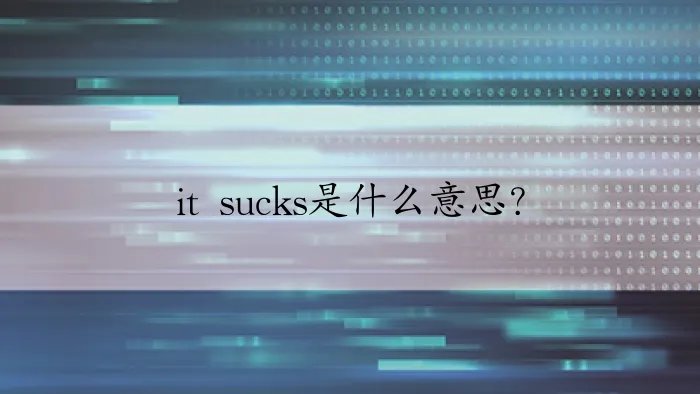 it sucks是什么意思?
