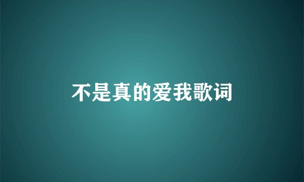 不是真的爱我歌词