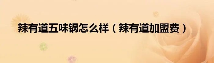 辣有道五味锅怎么样（辣有道加盟费）