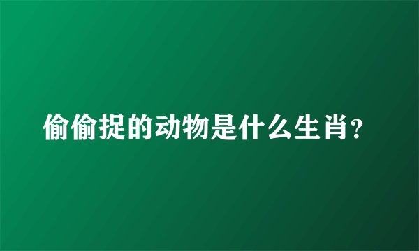 偷偷捉的动物是什么生肖？