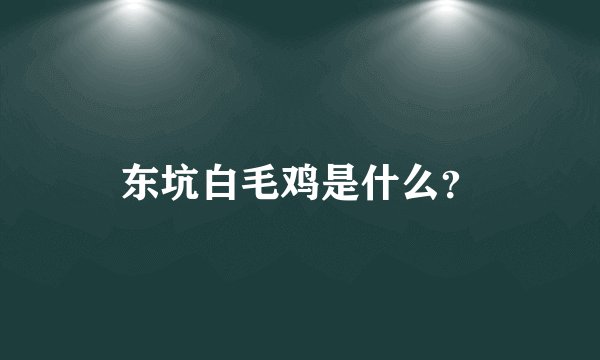 东坑白毛鸡是什么？
