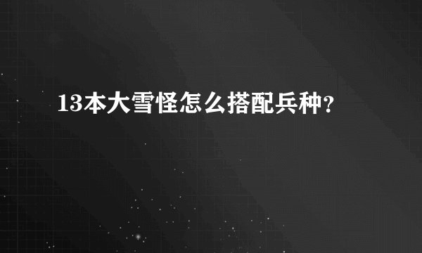 13本大雪怪怎么搭配兵种？