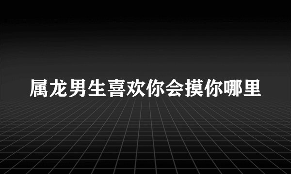 属龙男生喜欢你会摸你哪里