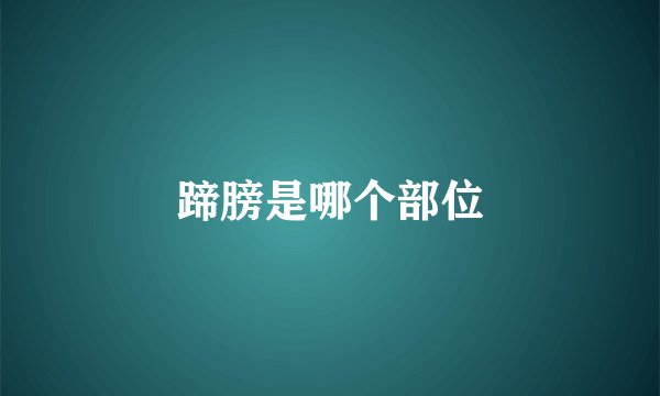 蹄膀是哪个部位