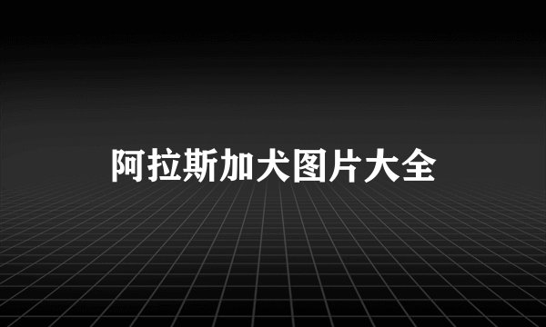阿拉斯加犬图片大全