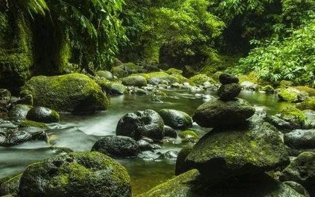 钱塘江边闪现壮观“参天大树”,大自然的鬼斧神工到底有多厉害?
