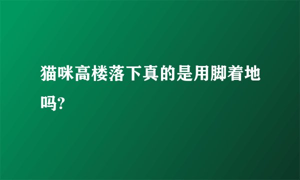 猫咪高楼落下真的是用脚着地吗?