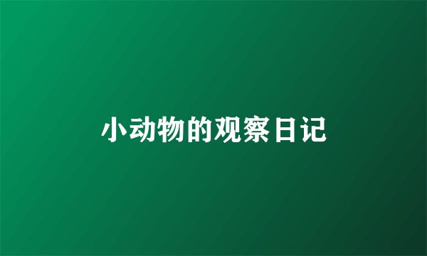 小动物的观察日记