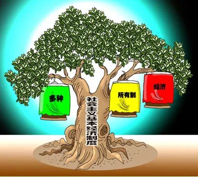 社会主义经济制度的基础是什么。