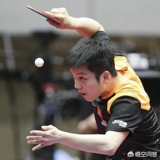 怎么评价樊振东取胜林高远拿下首个亚洲杯冠军?