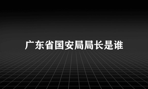 广东省国安局局长是谁