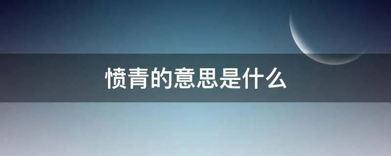 愤青的意思是什么