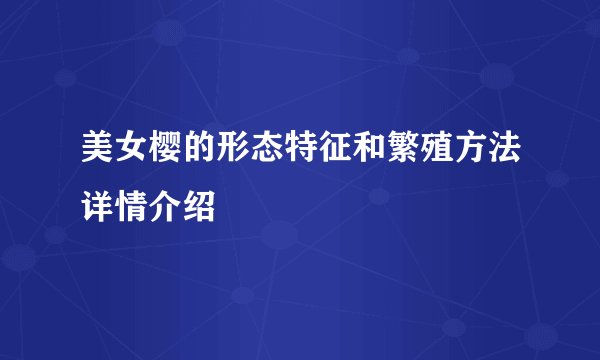 美女樱的形态特征和繁殖方法详情介绍