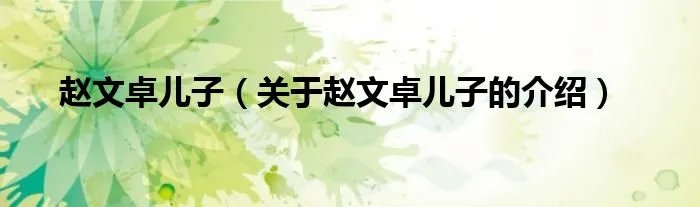 赵文卓儿子（关于赵文卓儿子的介绍）