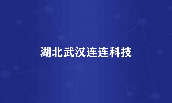 湖北武汉连连科技