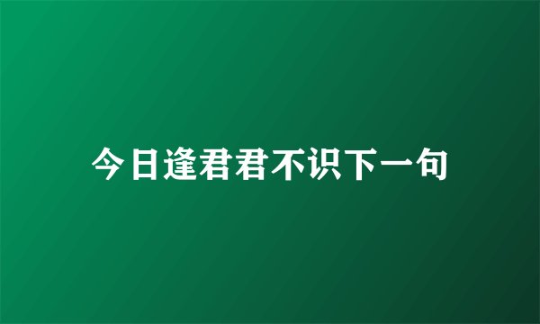 今日逢君君不识下一句