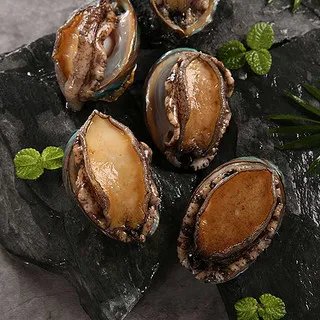 鲍鱼