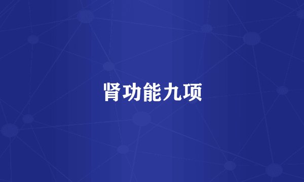 肾功能九项