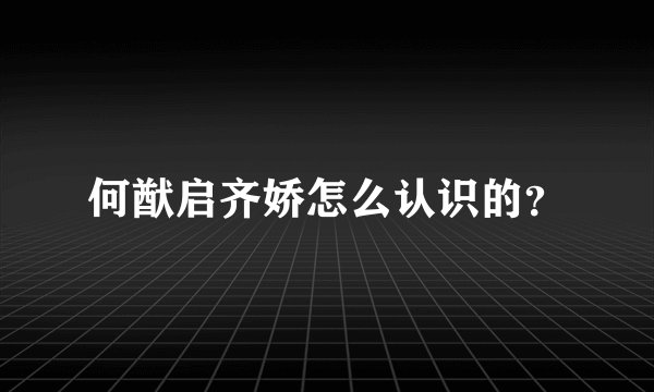 何猷启齐娇怎么认识的？