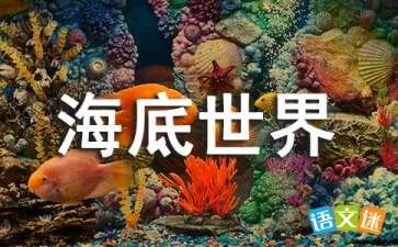 美丽的海底世界
