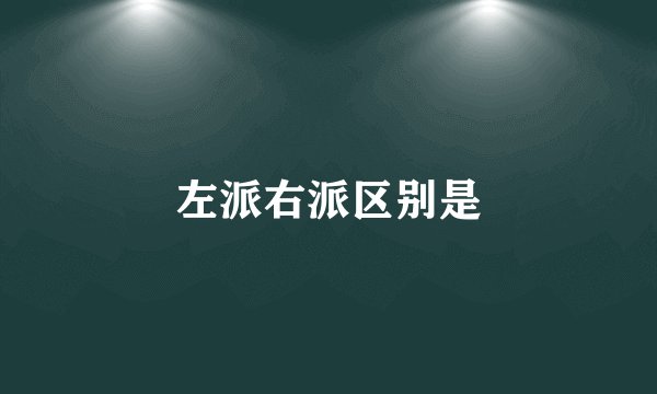 左派右派区别是