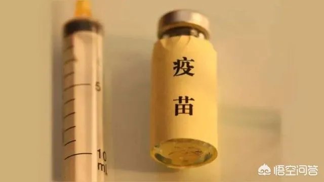 如何看待长春长生被立案调查,董事长和4名高管被带走?