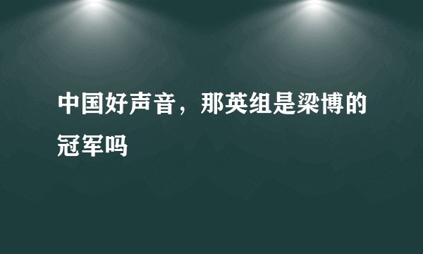 中国好声音，那英组是梁博的冠军吗