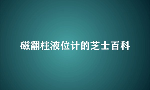 磁翻柱液位计的芝士百科