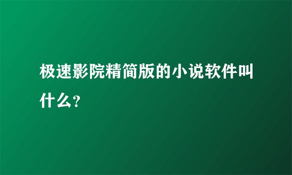 极速影院精简版的小说软件叫什么？
