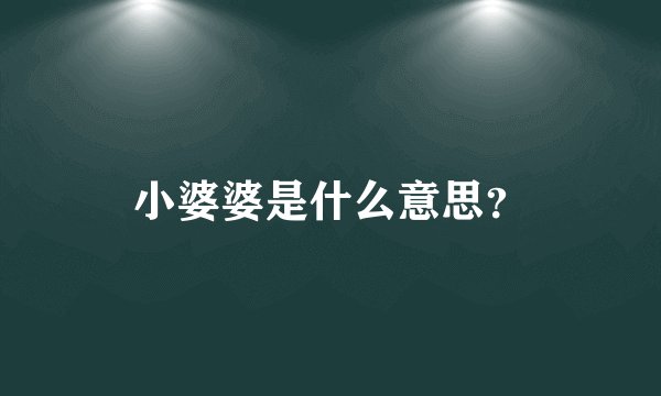小婆婆是什么意思？
