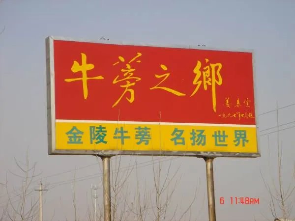 什么是牛蒡?