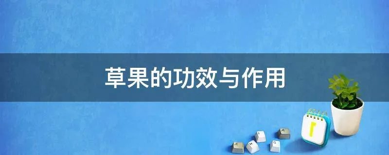 草果的功效与作用