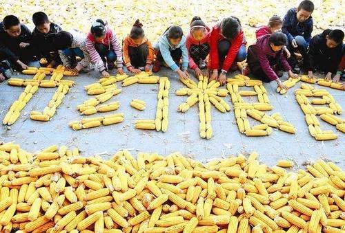 粮食浪费数据