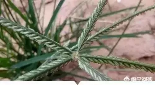有哪些是潮牌又实惠的棒球服值得推荐的呢?