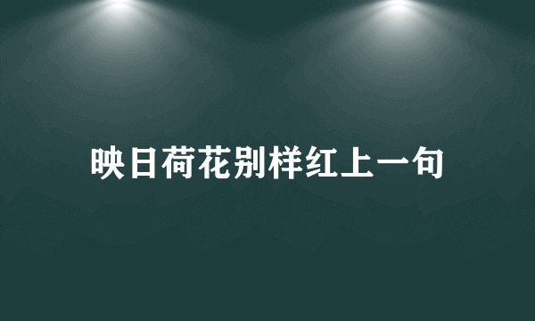 映日荷花别样红上一句